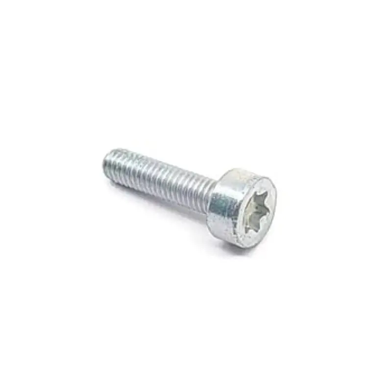 Echo Replacement Screw – Part V804000060 1