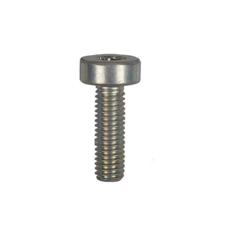 Echo Replacement Screw – Part V805000150 1