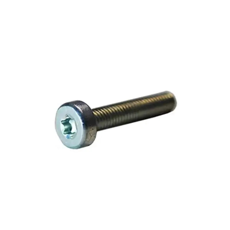 Echo Replacement Screw – Part V805000170 1