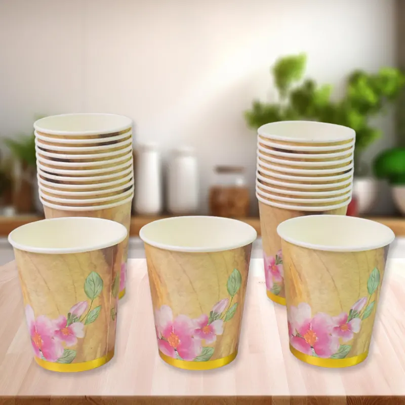 Eco-Friendly Disposable Cups – 24-Count Variety Pack For Hot & Cold Drinks 1