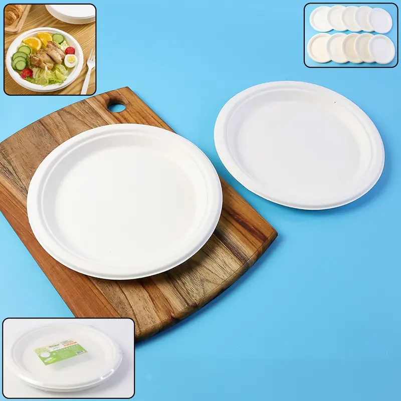 Freshee Compostable Bagasse Dinner Plates – 9-Inch Round (10-Pack) 1