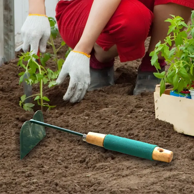 Garden Hoe With Ergonomic Handle – Efficient Soil Cultivation & Weeding Tool 1