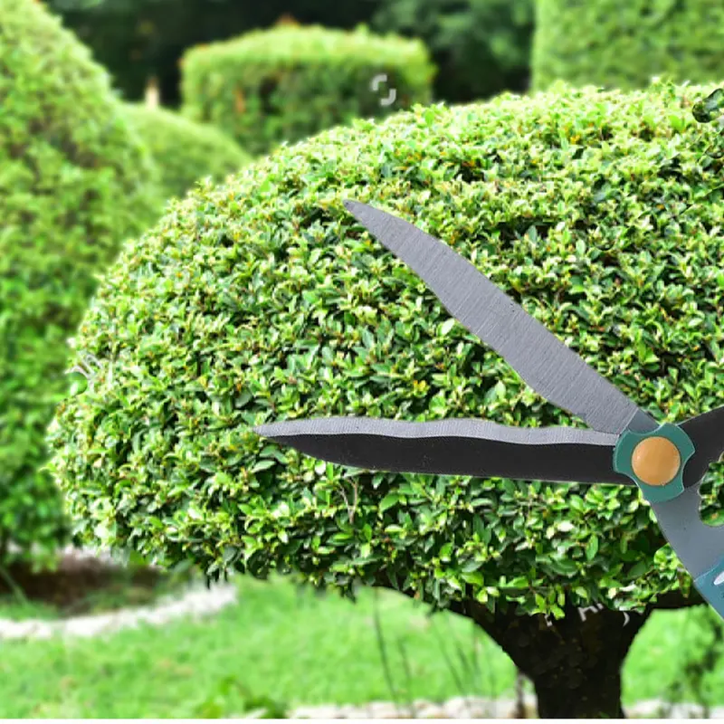 Large Garden Shears – Ergonomic Heavy-Duty Pruning Scissors For Branches And Shrubs 1