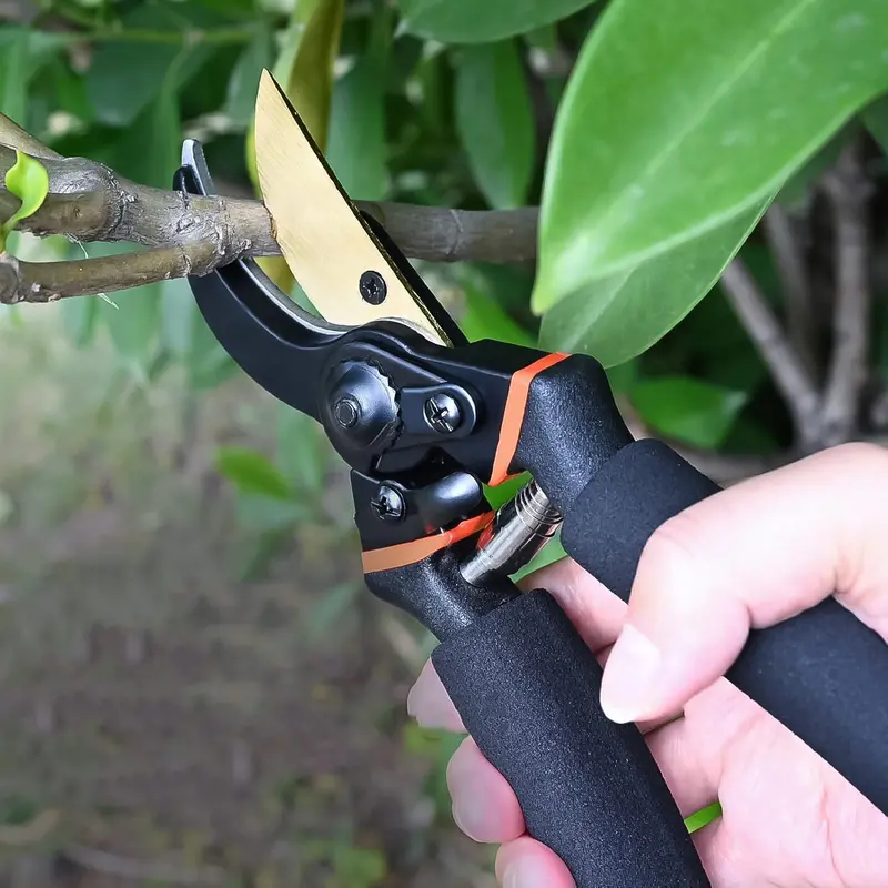 Professional-Grade Garden Pruning Shears – Sharp Stainless Steel Bypass Clippers 1