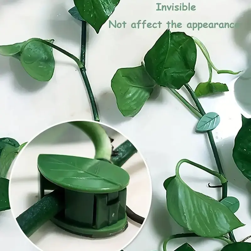 Self-Adhesive Plant Climbing Clips – Reusable Wall-Mount Vine Support Hooks (10-Pack) 1