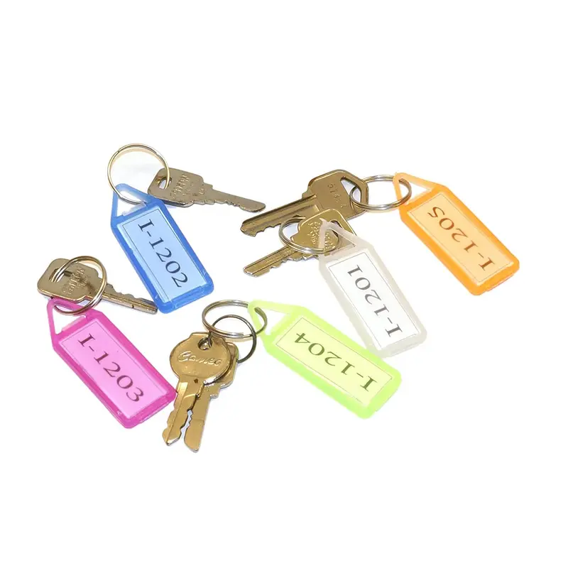 Set Of 50 Decorative Key Tag Labels – Colorful & Durable Keychain Identifiers 1