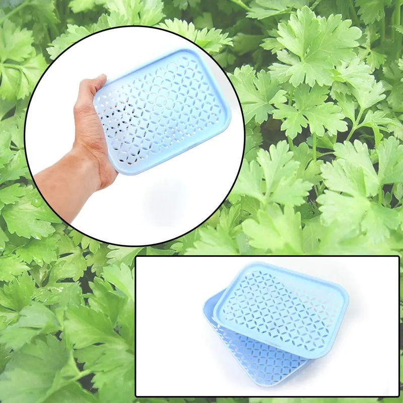 Single-Piece Coriander (Cilantro) Basket For Kitchen Storage & Prep 1
