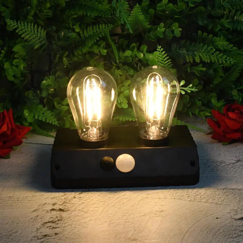 Solar-Powered Dual-Led Lamp – 2W Energy-Efficient Outdoor Light 1